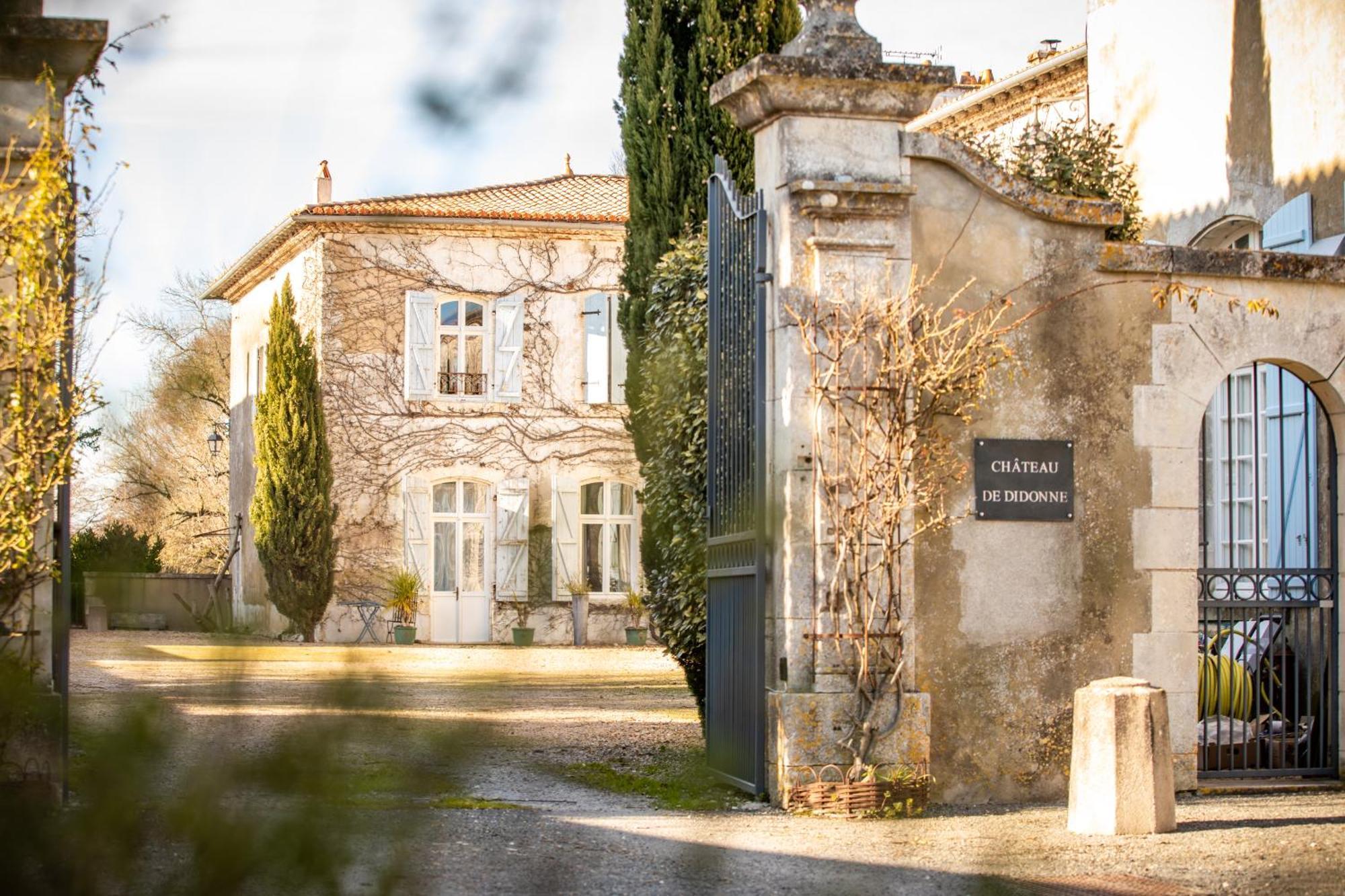 Hotel Chateau De Didonne Sémussac المظهر الخارجي الصورة