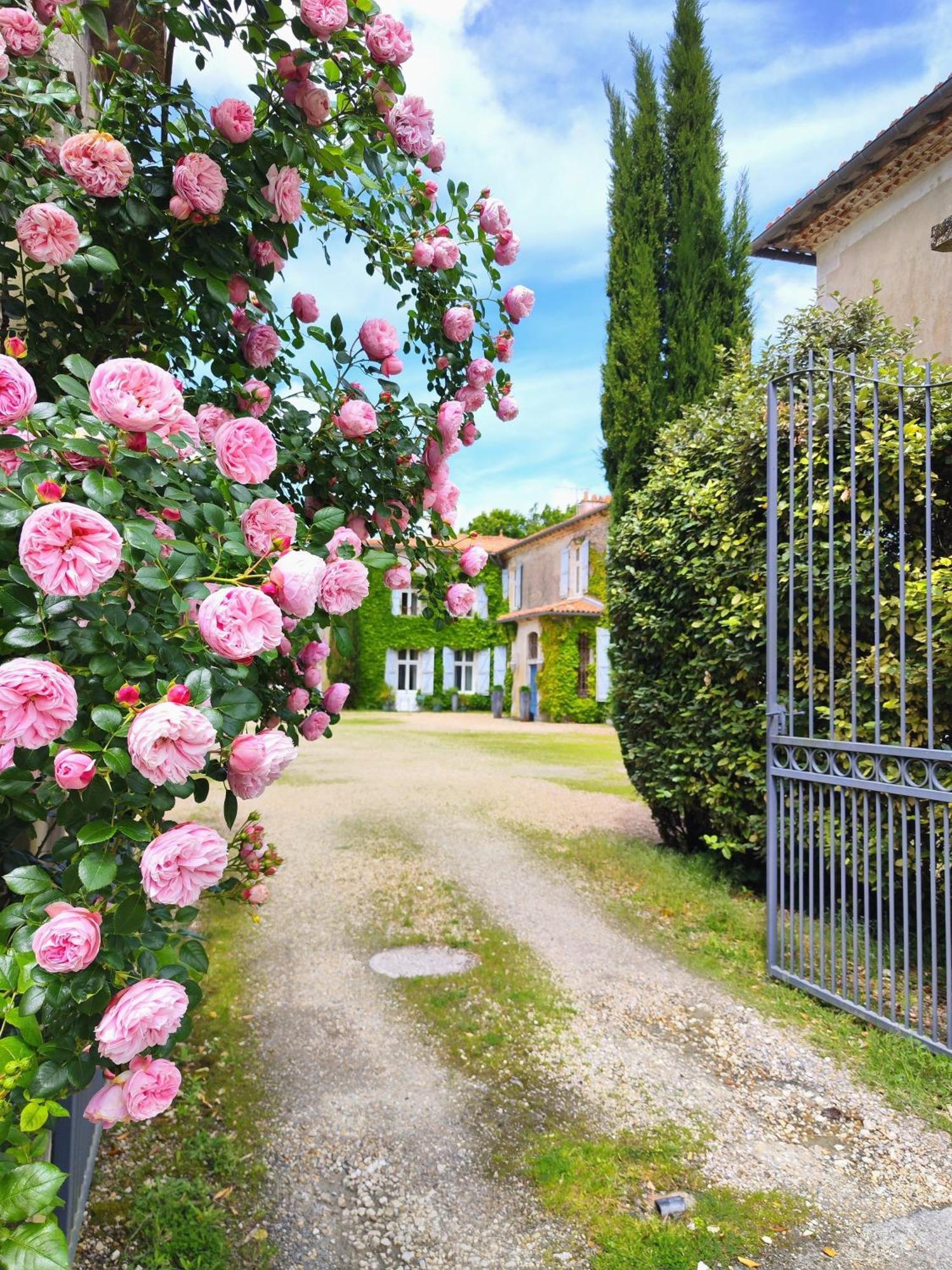 Hotel Chateau De Didonne Sémussac المظهر الخارجي الصورة